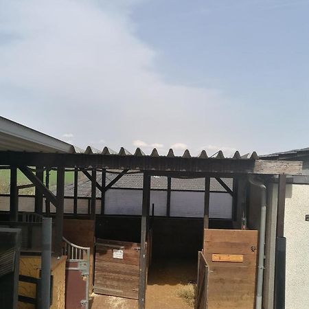Schoenes Appartement " Die Ponybude" Auf Unserem Reiterhof Birkenbeul Buitenkant foto