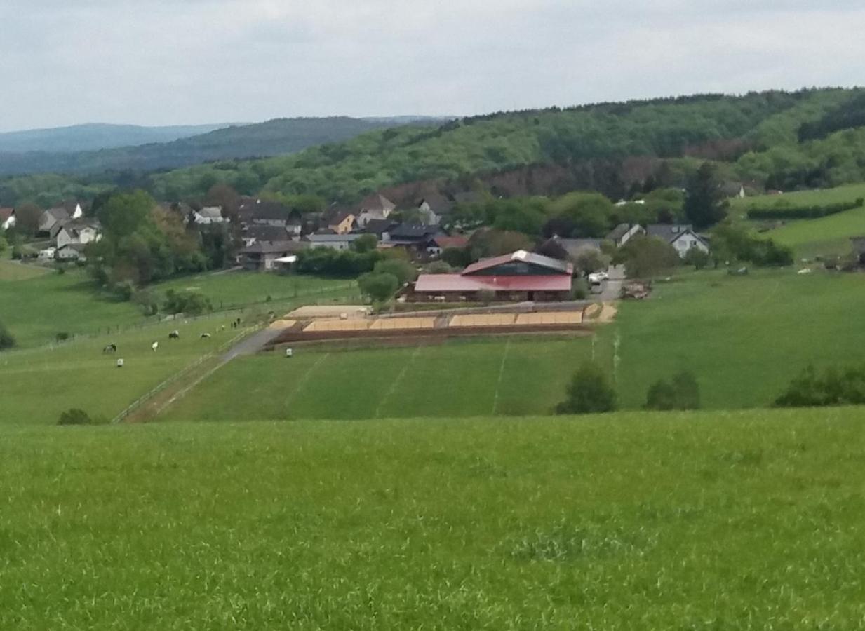 Schoenes Appartement " Die Ponybude" Auf Unserem Reiterhof Birkenbeul Buitenkant foto