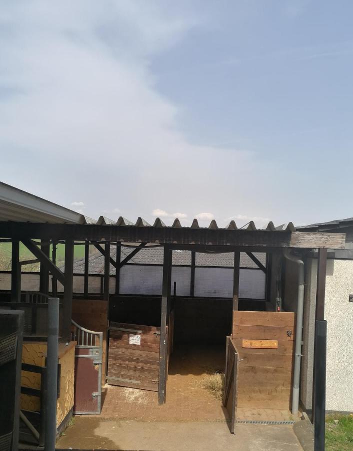 Schoenes Appartement " Die Ponybude" Auf Unserem Reiterhof Birkenbeul Buitenkant foto